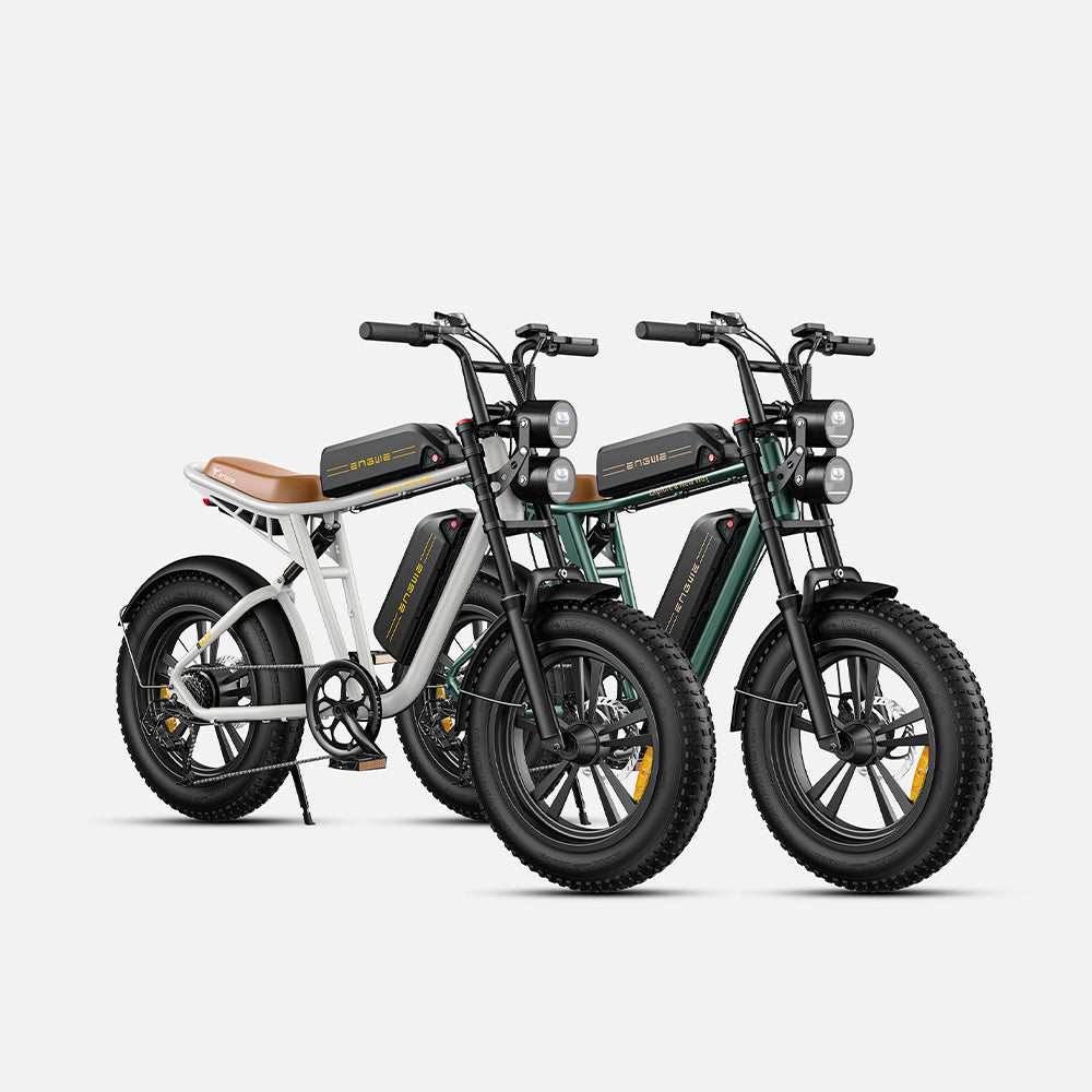 102-ENGWE M20 E-bike mit großer Reichweite