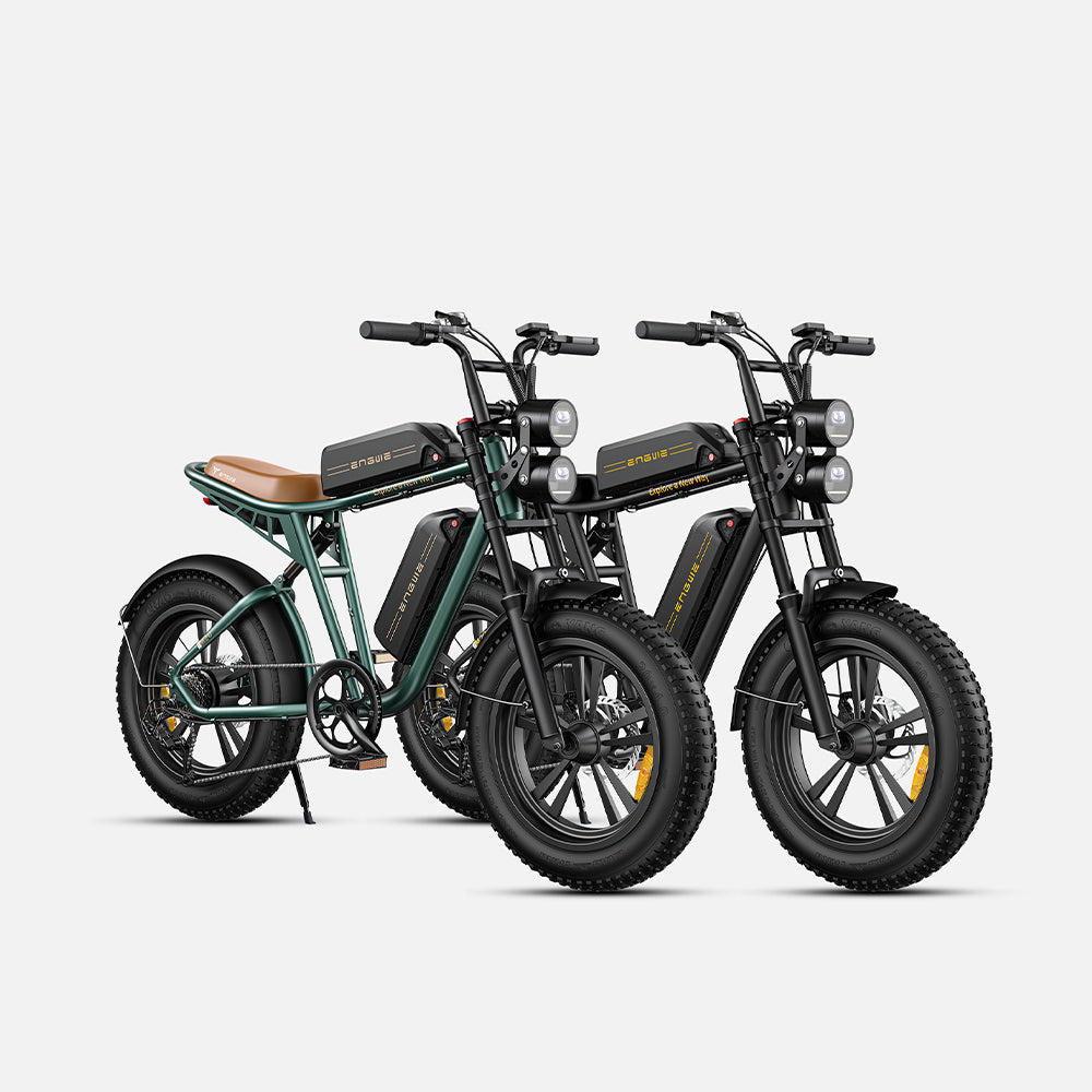 102-ENGWE M20 E-bike mit großer Reichweite