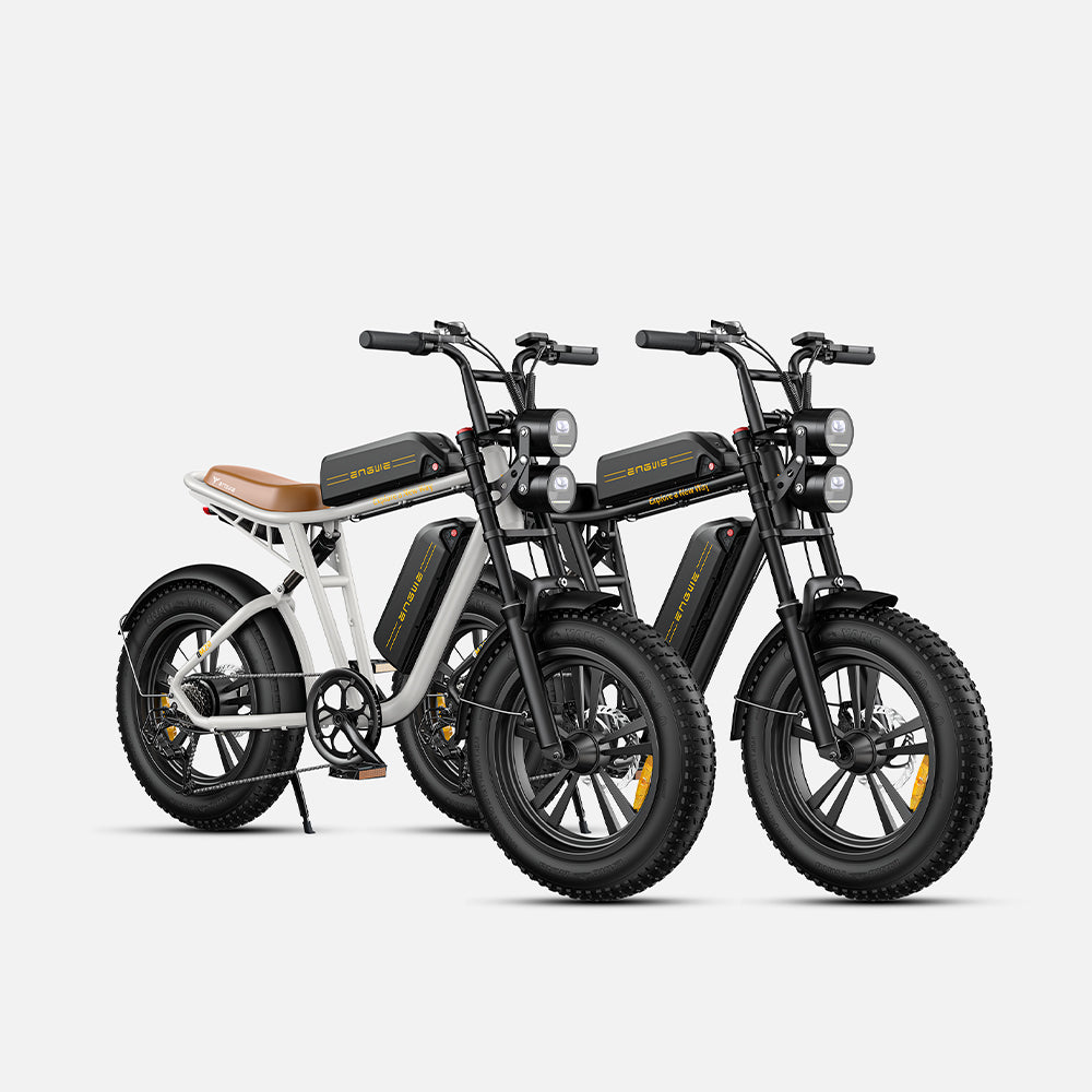 102-ENGWE M20 E-bike mit großer Reichweite