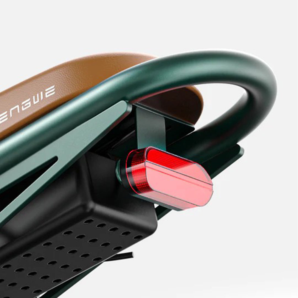 102-ENGWE M20 E-bike mit großer Reichweite