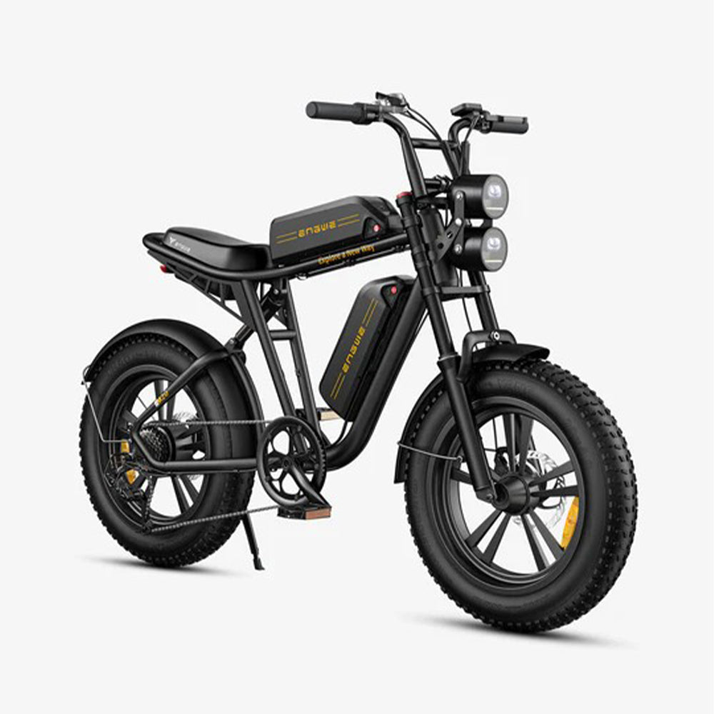 102-ENGWE M20 E-bike mit großer Reichweite