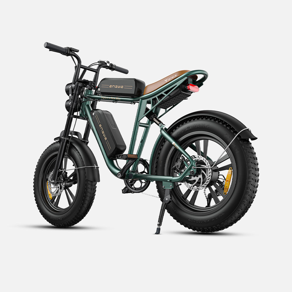 102-ENGWE M20 E-bike mit großer Reichweite