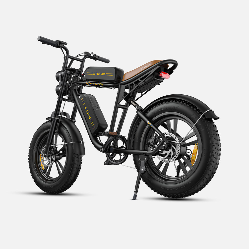 102-ENGWE M20 E-bike mit großer Reichweite