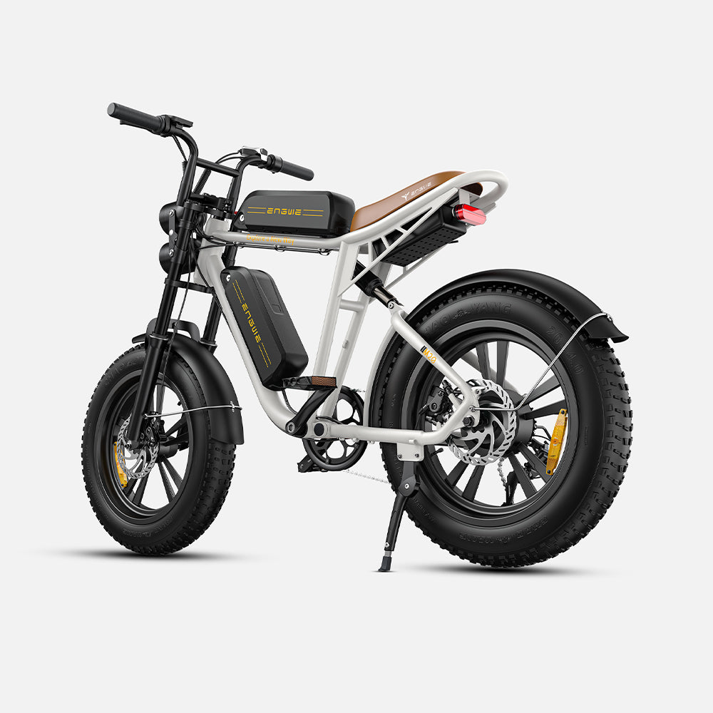 102-ENGWE M20 E-bike mit großer Reichweite