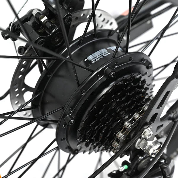 202-Onesport OT18-3 E-bike